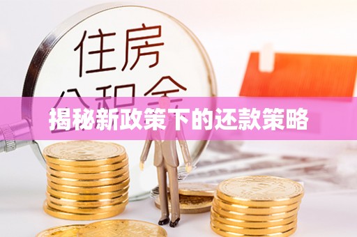 东辽揭秘新政策下的还款策略