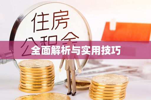 东辽全面解析与实用技巧