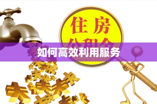 东辽如何高效利用服务